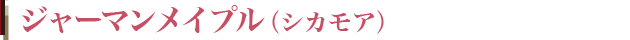 無垢フローリング ジャーマンメイプル(カエデ)
