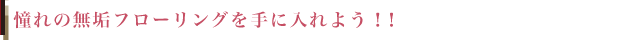 樹種一覧から探そう!
