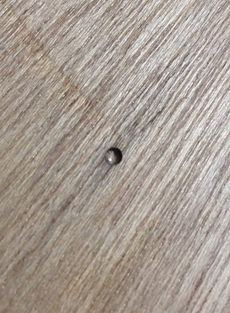 ラワン合板の虫穴