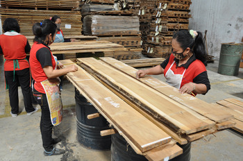 インドネシアチーク工場2