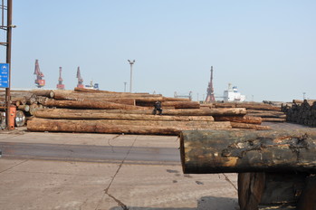 中国 上海 張家港の原木