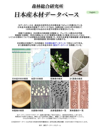 日本木材データベース