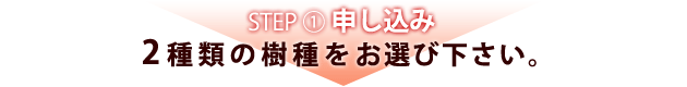 ステップ1申し込み2種類の樹種をお選び下さい。