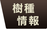 チークフローリング 樹種情報