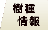 チークフローリング 樹種情報