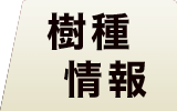 オークフローリング 樹種情報